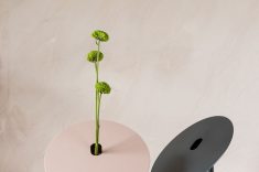 Vaso Sereia da Lykke Decor