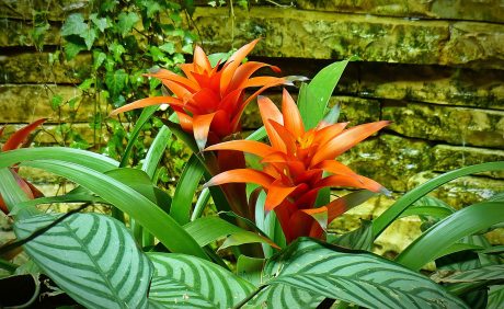 Arquitetura | Casa Sul