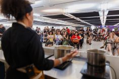 Foto Calathea Produtora